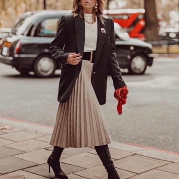 Zara Pleated Midi Skirt - Picture 2 of 11